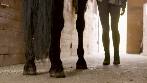 jonge vrouw arriveert bij de stal en nadert het zwarte paard