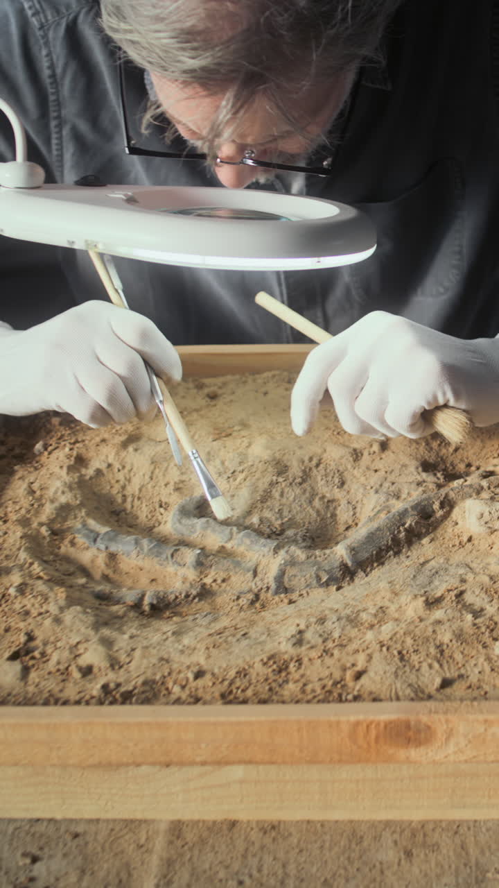 Paleontologist meticulously preparing a dinosaur footprint fossil
