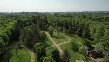 parque botánico de vegetación aérea