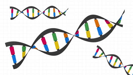 Animation-Von-DNA-Strängen-Auf-Weißem-Hintergrund