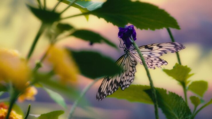 Grande farfalla ninfa degli alberi su un fiore viola. Rallentatore.