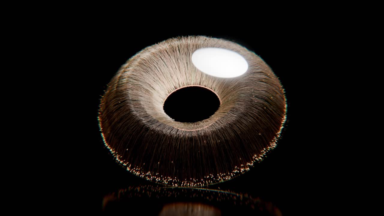 Abstract Light and Dark Circular Texture