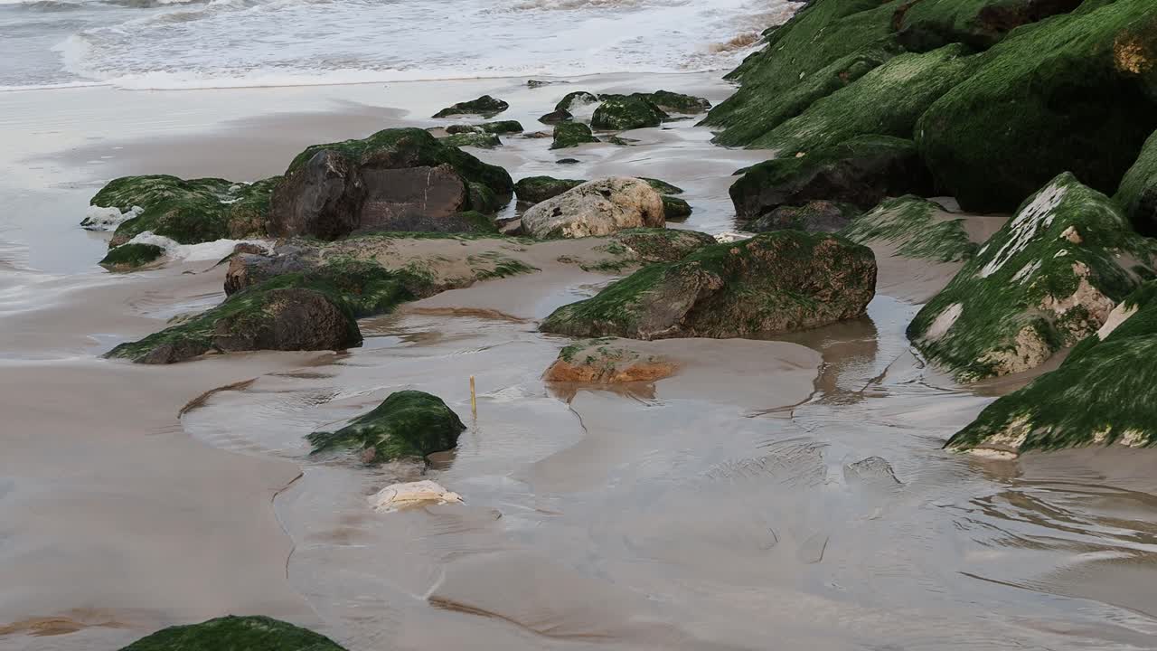 Rocce ricoperte di verde scoperte dall'acqua di marea in riva al mare