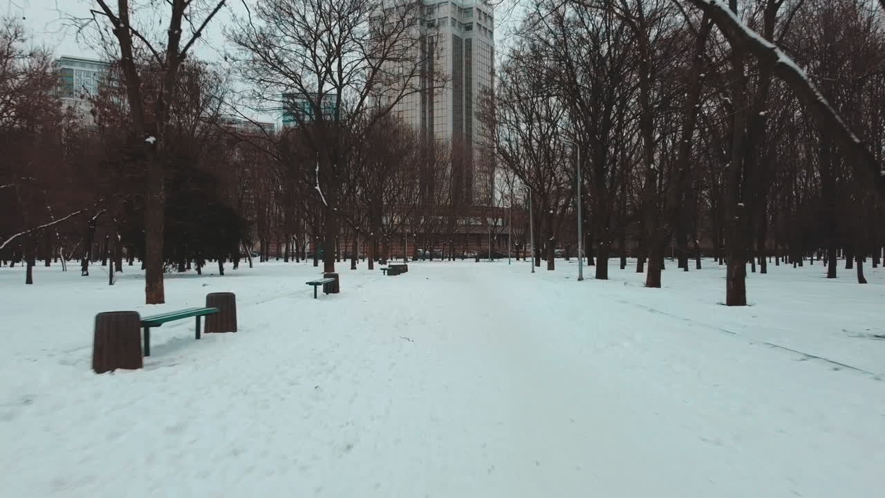 우크라이나 오데사의 눈 덮인 공원을 날고 있는 드론