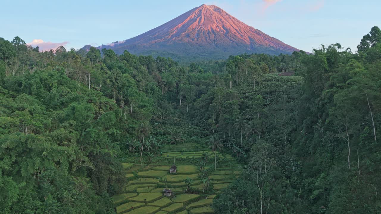 Il vulcano Semeru che si rivela dietro le risaie indonesiane