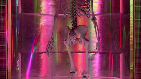 skeleton in a glowing display case