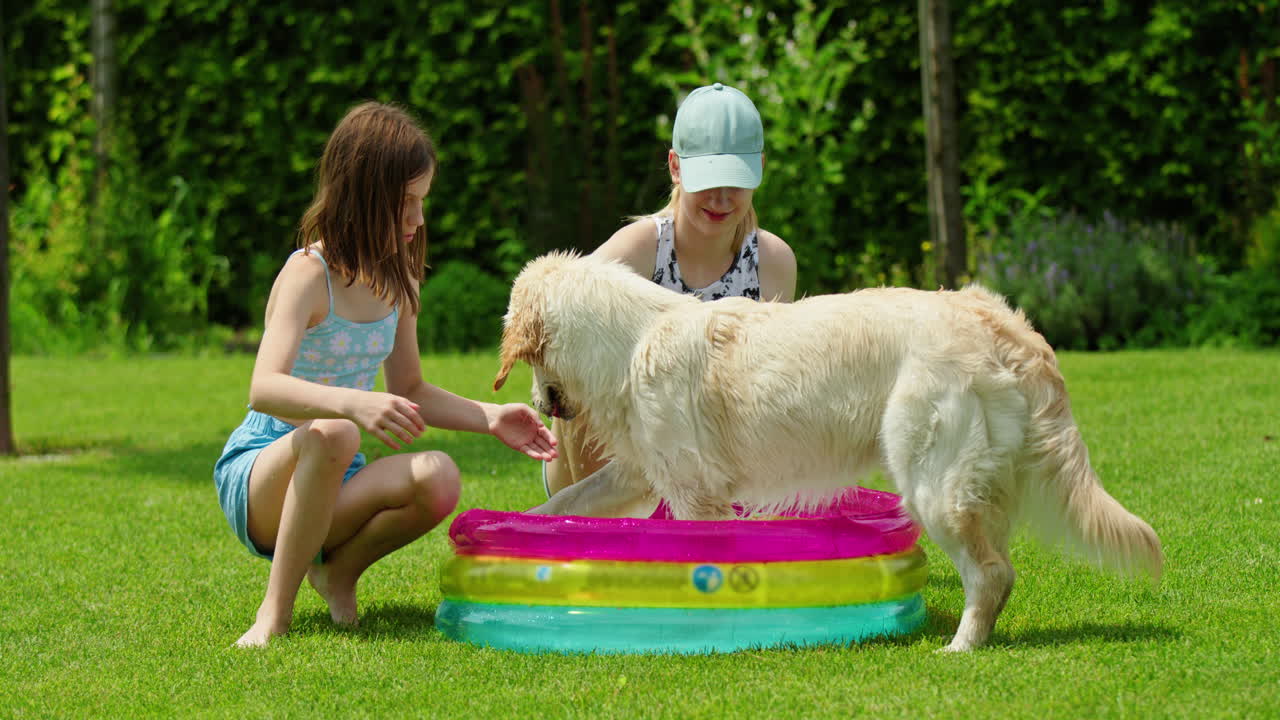 niños y perros disfrutando de una piscina inflable