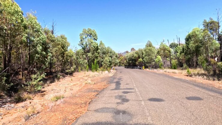 Guidando lungo una strada boscosa in Australia