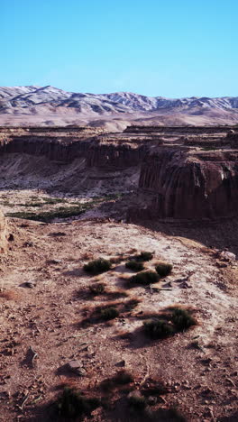 majestic canyon with mountain range