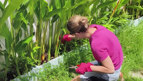 mujer jardineria