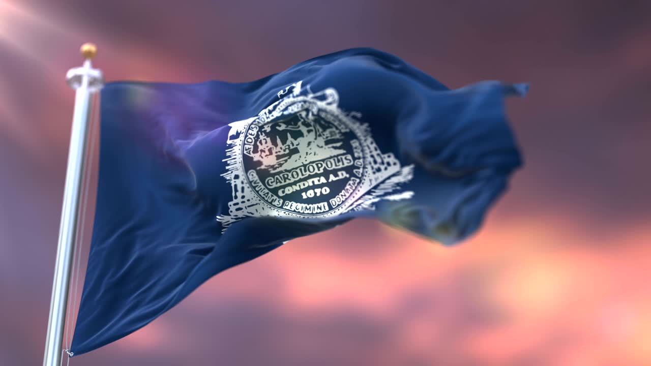 미국 사우스 캐롤라이나 주 찰스턴의 국기 - 루프