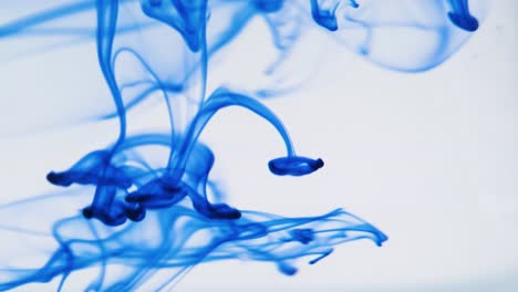 ink-dropping-into-water,-slowmotion-in-4k-resolution,-great-for-musicvideos,-intros-or-wallpapers