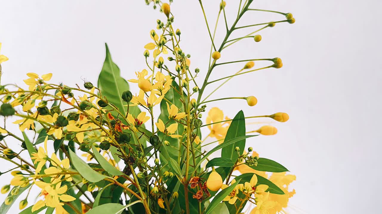 노란색 꽃 꽃받침