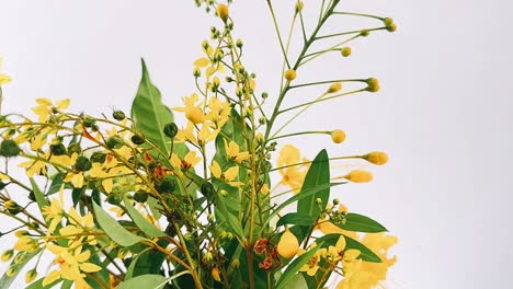 ramo de flores amarillas