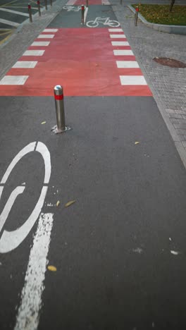 bicycle lane and pedestrian crossing