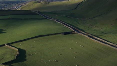 Erstellen-Einer-Drohnenaufnahme-Der-Hügel-Und-Felder-Von-Yorkshire-Dales-Mit-Schafen