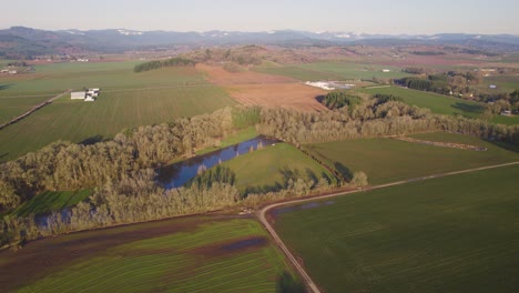 Panoramic-view-of-riverine-forest,-stream,-and-open-glowing-green-fields