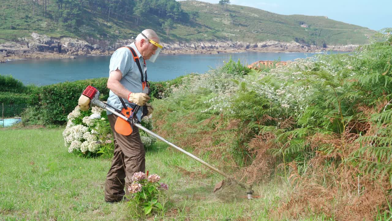 보호 방패 마스크를 입은 고위 남자가 모어와 함께 잔디를  ⁇ 고 있습니다.