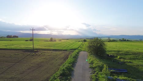 Agriculture-and-farm-field,-old-electricity-pole,-beautiful-skyline-aerial