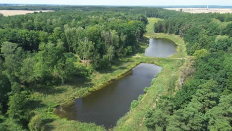 &quot;El-Dron-Sobre-El-Lago-Iluminado-Por-El-Amanecer-En-Europa-Captura-Una-Laguna-Tranquila,-Un-Bosque-Exuberante-Y-Un-Estanque-Sereno