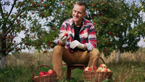 Happy mid-aged Caucasian farmer sitting on a tabouret in the garden. Smiling man looks at red apples he picked into the baskets.