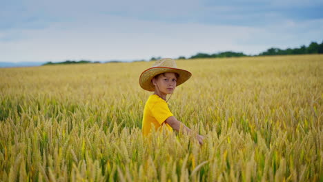 little boy among growing agriculture plants. child in straw hat and yellow t-shirt walking in the field in a sunny day.