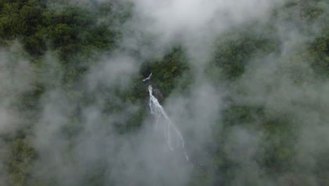 bird eye view of waterfall in green forest, costa rica - 4k video
