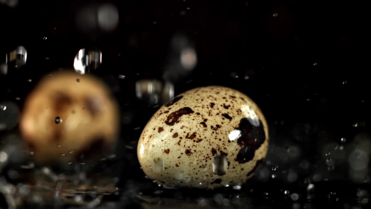 Fresh Quail Eggs with Water Drops Splashing in Slow Motion