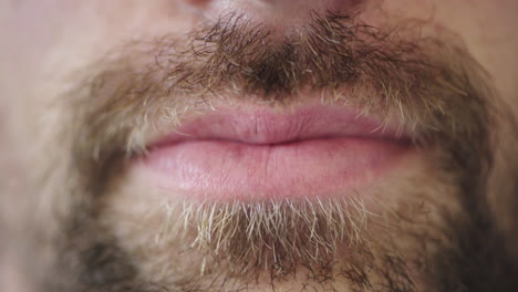 barba, cara o boca y labios