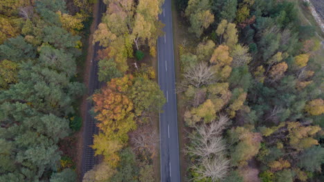 Car-driving-on-a-road-through-a-mixed-autumn-forest-from-a-top-down-view