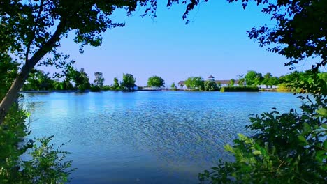 Framed-portrait-of-peaceful-pond-at-Floyd-Lamb-State-Park-in-Las-Vegas-Suburbs