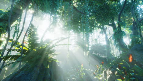 Grüner-Tropischer-Wald-Mit-Lichtstrahl