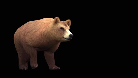 a brown bear walking on black background with alpha channel included at the end of the video, 3d animation, perspective view, animated animals, seamless loop animation