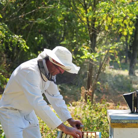 beekeeper holding a honeycomb