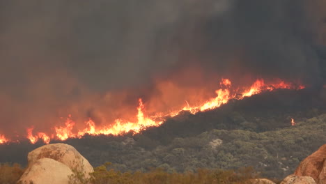 forest burning wildfire fairview fire california green red orange smoke flames