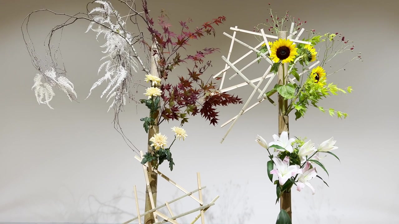 Sebuah rangkaian bunga ikebana ditampilkan dengan penekanan pada bentuk, keseimbangan, dan bahan alami. Rekaman tersebut menangkap detail komposisi bunga dengan gerakan halus.