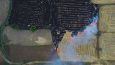 Aerial-drone-shot-of-Stubble-burning-of-left-overs-from-wheat-field-harvest-causing-smog-and-heavy-air-pollution-in-north-india