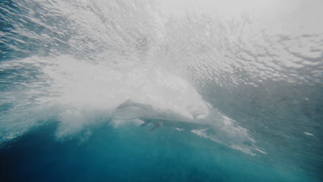 surfer underwater