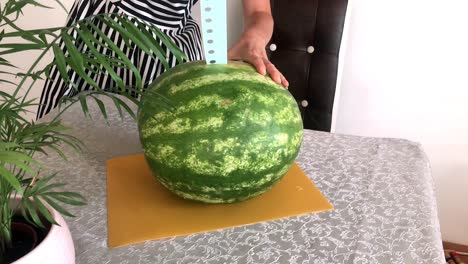 Close-up-view-of-faceless-young-woman-hand-cutting-ripen-large-watermelon-on-the-yellow-cutting-board