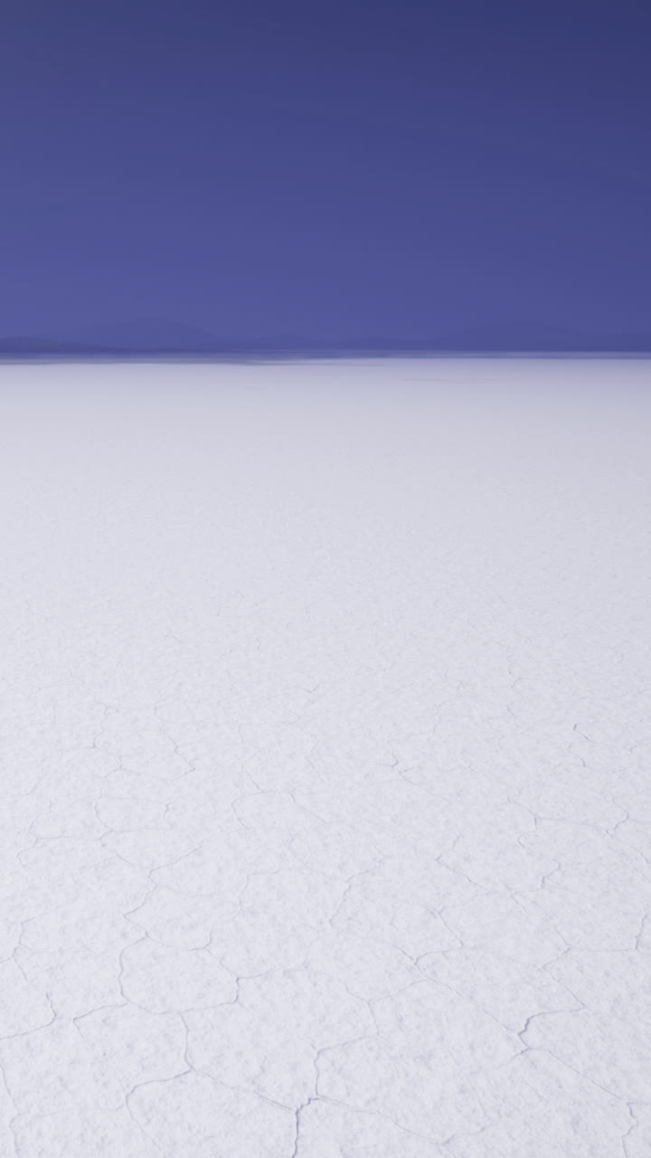 White salt flat stretches across the horizon under a clear blue sky