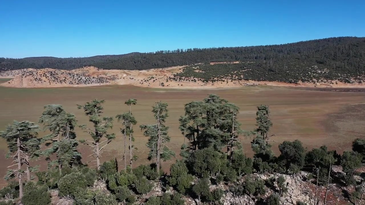 Vista aerea cinematografica con drone di colline di foreste di cedri e paesaggio montano nell'Atlante Medio, Marocco, ideale per progetti di viaggio, natura e aree selvagge.