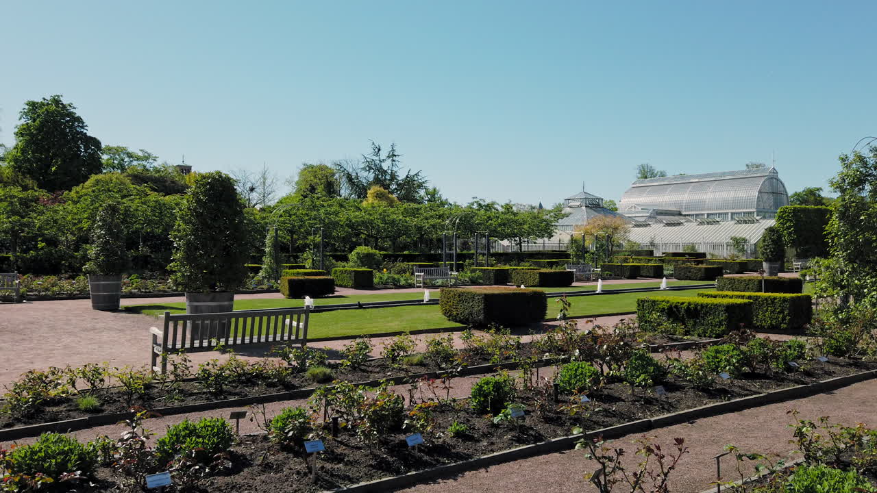 Escena de jardín en un hermoso día soleado. Paneo a la derecha.