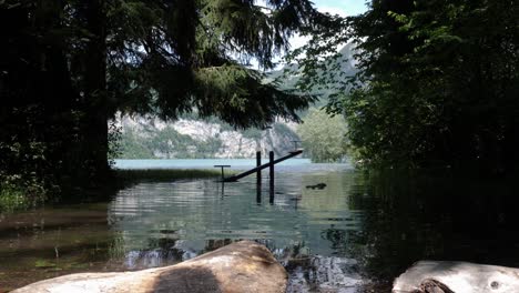 A-seesaw-on-a-playground-is-flooded-and-abandoned-next-to-some-pine-trees-in-Switzerland-on-a-warm-sunny-day