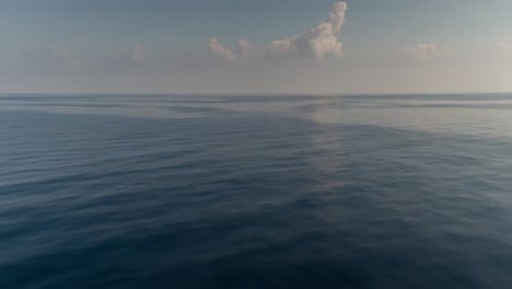 ferry sunrise 4k 24