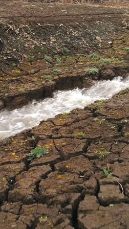 dry creek bed with flowing water