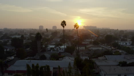 AERIAL:-Flight-between-two-palm-trees-in-Sunlight-,-Sunset-in-Venice,-California,