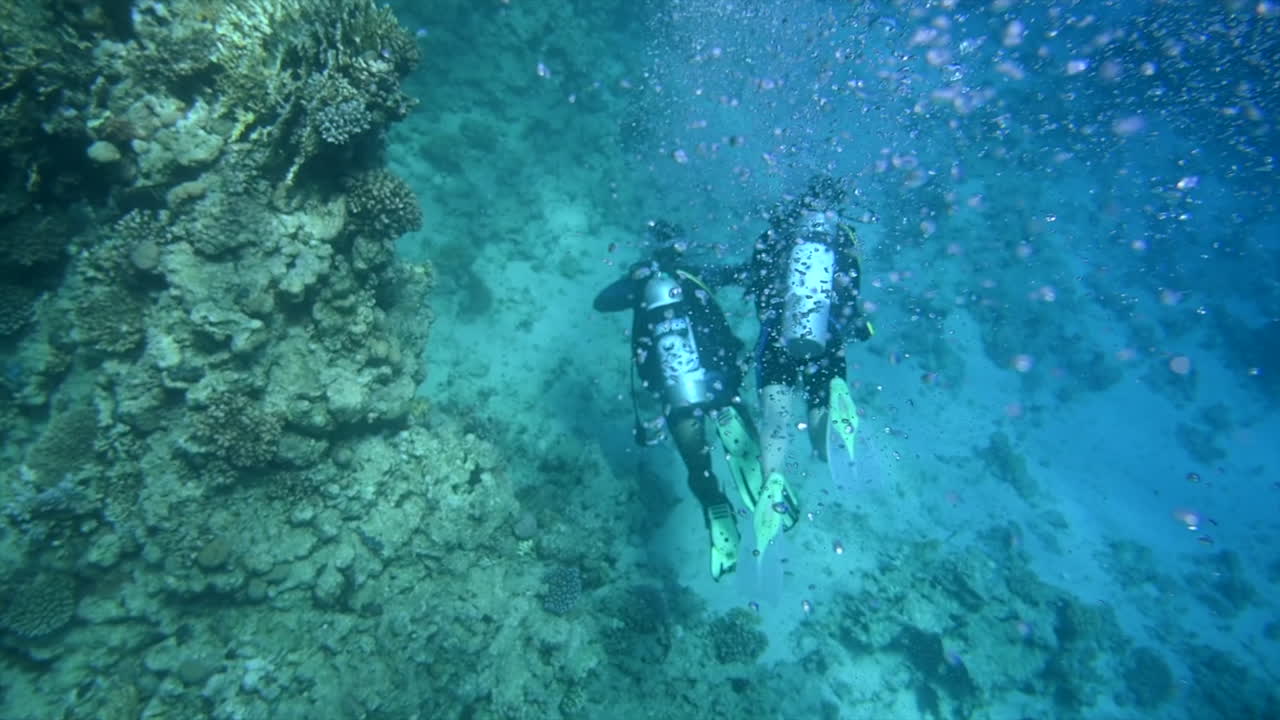 Divers swimming and exploring in the red sea