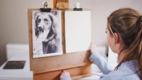 female teenage artist preparing to draw picture of dog from photograph