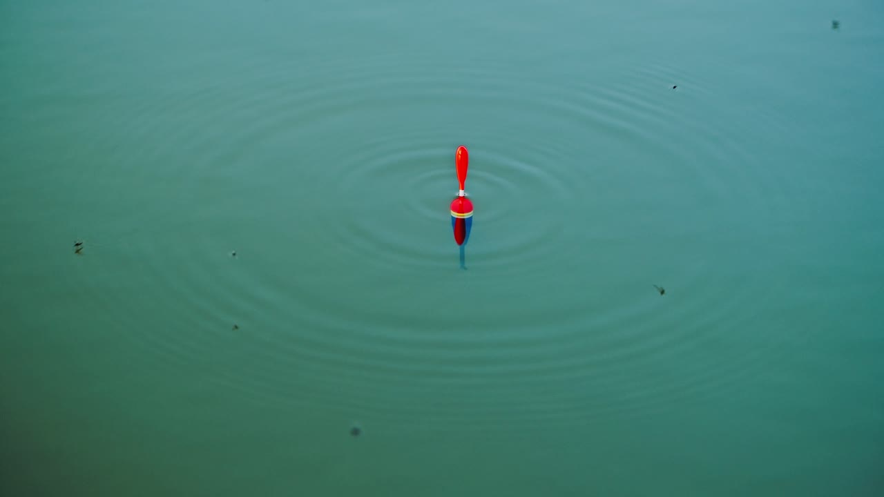 Slow motion of fishing float pulled down while insects circle on lake surface