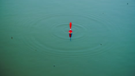 slow motion of fishing float pulled down while insects circle on lake surface
